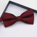 Farfalla uomo bordeaux doppio strato elegante matrimonio abito sposo accessorio - Farfallino Rosso Vino Vintage