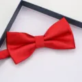 Close-up detail of red double layer fabric bow tie for men's formal wear shirt styling. - Bright Red Fine Stripe Bow Tie