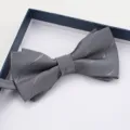 Primo piano di un farfallino in tessuto grigio a doppio strato in una confezione. - Farfallino Rigato Grigio Chiaro