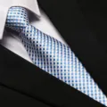 Blue white checkered tie close-up, premium business necktie for men suit shirt matching details. - 8cm L009 Zipper