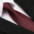 Classic maroon business necktie for men, elegant textured fabric, ideal for formal work and wedding. - 8cm Steadfast Burgundy Zipper