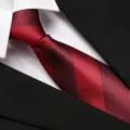 Classic striped business tie for men and women, elegant professional formal wear. - 8cm H001 Zipper
