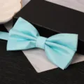 Light blue double layer bow tie for men, elegant wedding groom formal suit neckwear accessory. - Sky Blue Small Check Bowtie