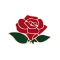 Spilla smaltata rosa rossa in lega di metallo badge fiore pianta accessorio di gioielli - Rose