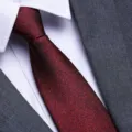 Close-up detail of classic dark red sparkly necktie matched with shirt and suit. - 8cm Nostalgic Burgundy Zipper