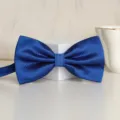 Blue textured bow tie for men wedding groom formal wear classic solid color necktie accessory - Royal Blue Small Check Bowtie