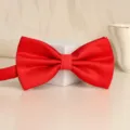 Red textured bow tie for men, solid color wedding groom suit accessory stylish neckwear - Red Small Check Bowtie