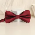 Wine red men's classic textured bow tie, perfect for weddings, groomsmen, and formal wear. - Dark Red Asymmetric Fine Stripe Bowtie