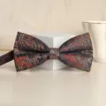 Classic paisley print men bow tie for wedding formal groom party stylish accessory. - Auspicious Cloud Phoenix Bowtie