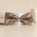 Classic men's striped bow tie in brown and gold, perfect for weddings, parties, and formal events. - Luxury Double Gold Stripe Bowtie