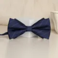 Dark blue striped men's bow tie variant, classic fabric design for formal wedding and business. - Elegant Blue Stripe Bowtie