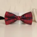 Red and black paisley bow tie for men, classic wedding groom tuxedo neckwear accessory. - Red Blue Paisley Bowtie