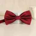 Wine red textured bow tie for men classic wedding formal groom shirt bowknot accessory - Grid Jujube Red Bowtie