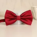 Red textured bow tie for men wedding formal business stylish classic neckwear variant - Wine Red Small Check Bowtie