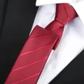 Men formal business red striped tie detail view, elegant necktie for wedding office suit wear - Twill Zipper / 6 cm Wide / Burgundy