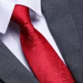 Red patterned necktie close up detail, formal wedding business suit accessory texture view. - D10 Zipper