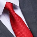 Men red textured formal necktie detail close up business suit matching tie accessory high quality - D19 Zipper