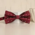 Burgundy paisley bow tie for men, formal wedding groom suit accessory, stylish double layer design. - Wine Red White Paisley Bowtie