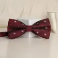 Burgundy double layer bow tie for men, classic wedding party formal wear accessory. - Wine Red Concentric Circle Bowtie