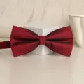 Burgundy double layer bow tie for men, classic textured formal wedding suit accessory. - Wine Red Small Grid Dot Bowtie