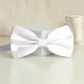 White satin bow tie for men, elegant formal wear accessory, classic wedding neckwear style - White Glossy Bowtie