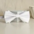 Elegant white double layer bow tie for men formal wedding suit apparel accessory variant - White Glossy Asymmetric Bowtie