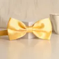 Mens yellow satin bow tie for formal wedding party, elegant solid color necktie apparel. - Light Yellow Glossy Bowtie