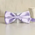 Light purple satin bow tie for men, elegant formal wear accessory for weddings and parties. - Light Purple Glossy Bowtie