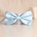 Light blue satin bow tie variant, classic men formal wear wedding suit neck accessory - Sky Blue Glossy Bowtie