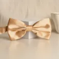 Gold satin bow tie for men, classic wedding groom formal wear necktie accessory variant. - Champagne Glossy Bowtie