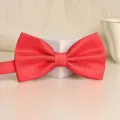 Red and White Small Check Bowtie