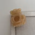 Gros plan détaillé d'une pince à cheveux rose beige chic et minimaliste pour coiffure élégante. - Couleur solide Jaune