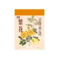 Yuxian notas adhesivas botánicas vintage papel decorativo material para diario de manualidades - Flores abundantes