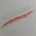 Pink acetate hair stick with streamline design for sweet bun styling and hair accessories. - Phantom Pink