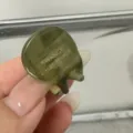 Vue détaillée d'une mini pince à cheveux en acétate vert, mettant en valeur un travail artisanal. - Vert foncé