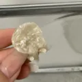 Vue détaillée de la mini pince à cheveux en acétate avec une belle texture artisanale. - Blanc Cassé