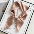 Pañuelo de Seda Liso Mujer Rosa Nude Cuadrado Cuello Bufanda Elegante Banda Pelo Accesorio - Brote de Nieve