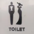 Plaque de porte de toilette en bois 3D silhouette homme et femme décoration murale - Plaque de Toilettes Style Séparé Ensemble