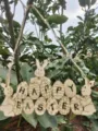 Décoration suspendue en bois œuf lapin de Pâques variante, ornement rustique pour fête de jardin. - Style lanière