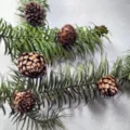 Gedetailleerd aanzicht van natuurlijke dennenappels en groen dennenloof voor kerst. - Natuurlijke Dennenappel