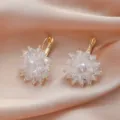 French Niche Beaded Flower Earrings High-End Crystal Pearl White Stud Earrings for Women - Transparent Crystal Ball Clip Style (A24-245)