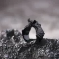 Gothic bat ring for men women, black vintage adjustable Halloween punk finger jewelry. - Vintage Black Bat Style (D24-044R)