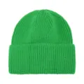 Berretto in maglia a coste verde, cuffia risvolto monocolore, cappello invernale caldo. - Verde mela