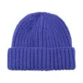 Kids thick knit beanie winter warm solid color pull-on cap for toddler baby blue - Sapphire Blue