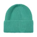 Berretto in maglia a costole tinta unita per donna uomo, cappello invernale risvolto, verde - Blu Aqua