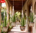 Suspension plante macramé lot de 4, panier suspendu en corde coton fait main pour déco jardin. - Ensemble de 4 Pièces Blanc Hauteur 60cm