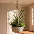 Suspension pour plante en macramé tissé main avec pot, idéal pour décoration intérieure. - Style 4 Couleur Jute