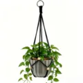 Colgador de plantas de macramé negro hecho a mano con maceta gris y planta colgante. - Anillo de Hierro de 46cm / Negro