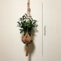 Colgador de plantas de macramé de algodón tejido a mano para decoración de interiores. - Albaricoque