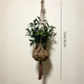 Colgador de plantas de macramé cuerda de algodón cesta colgante para macetas decoración - Caramelo